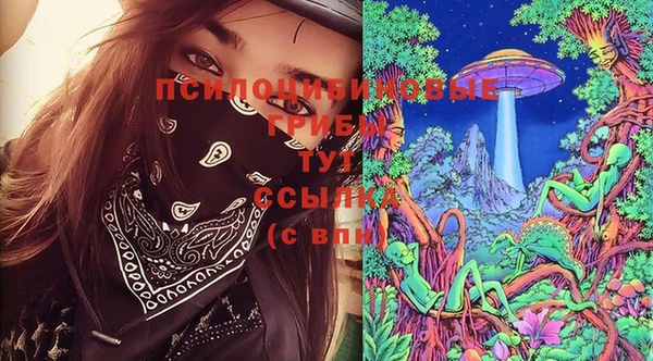 2c-b Михайловка