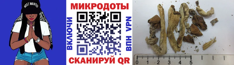 Купить закладки Пойковский Галлюциногенные грибы мицелий